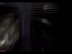 The Prodigy - Narayan