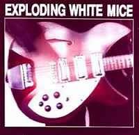 10781590-Exploding-White-Mice-Exploding-White-Mice
