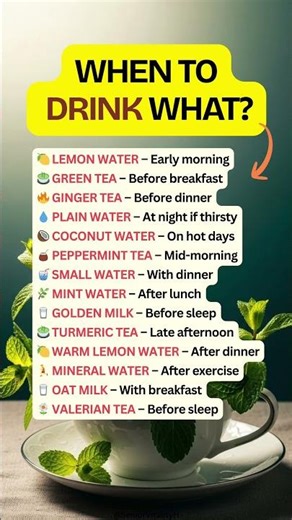 🥤 The Best Drinks for Every Time of Day!