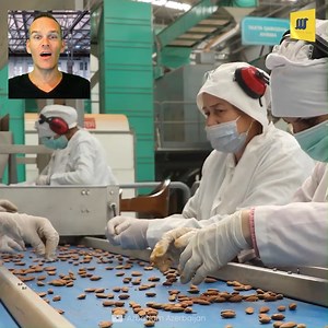 Unveiling the Secrets of Almond Factory: Witness the Transformation of Nature's Nut | Mechanical Mind