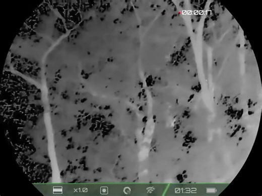 The RIX Optics K2 pocket scanners are great tools for hunting at night but are not limited to night hunting. Here I am squirrel hunting and it’s early morning. I can hear a squirrel feeding in the tree ahead but because of heavy leaf foliage in the trees my eyes can not pick up this grey squirrel. My thermal scanner picks him up as he runs down the tree allowing me to know exactly where he is. RIX OPTICS has graciously offered 20% off the K2 pocket scanner (which is already on sale) to my viewer