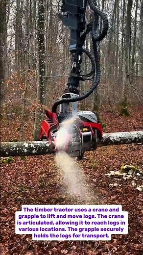 Kronos Timber Tractor in Action: Efficient Logging Equipment