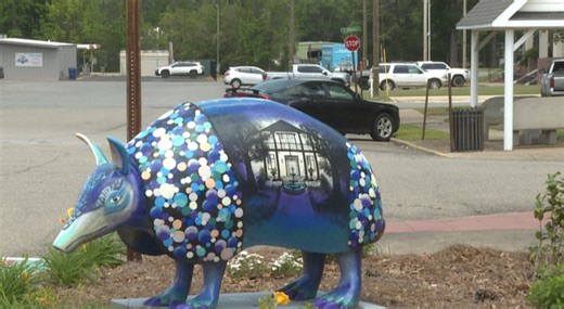 Hamburg to host world-famous armadillo festival