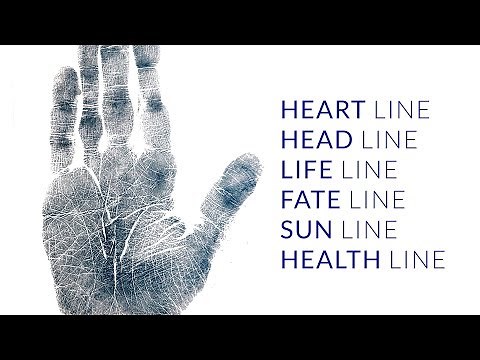 Palmistry Fate Line, Head Line, Heart Line, Life Line, Sun Line, Health Line Analysis (3/12)