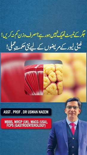 Fatty Liver Not Improving? Why Weight Loss Alone May Not Be Enough