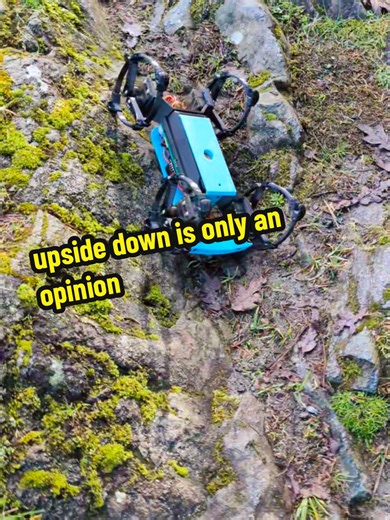 everything is negotiable when your legs are reversible #robot #robotics #opensource #vnrobot