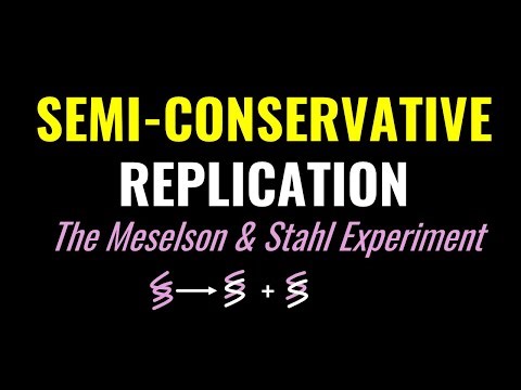 Semi-Conservative Replication, the Molecular Basis of Inheritance: The Meselson and Stahl Experiment
