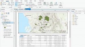 Add an Excel Table to an ArcGIS Pro Layout
