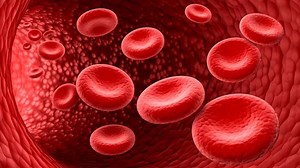 Understanding The Risk Of Thalassemia In Women Over 30: Insights From The Doctor