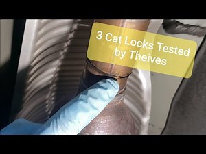 Cat Locks tested by Thieves