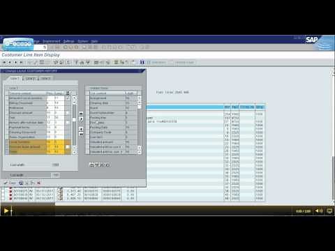 Sap Layout Chang (Continued).avi
