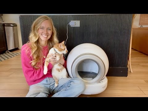 How Good is This Automatic Litter Box? Full Breakdown!