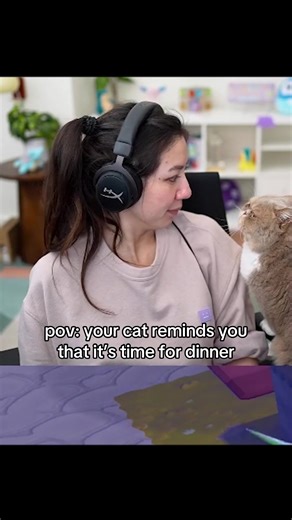 dinner time #fuslie #cat #catsoftiktok #fyp | cat