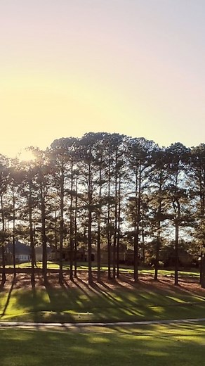 HAPPY  ST. PATRICK’S DAY  Our 2nd Annual St. Patrick’s Day Festival is this Saturday! | Bay Pointe Golf & Country Club | Facebook