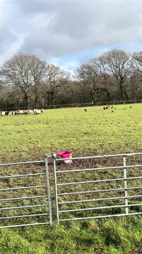 Mud and Rain: A Struggle for Poor Girls