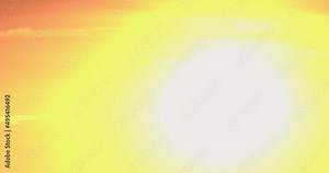 Small flock of red-bellied macaws flying over a golden sky at sunrise