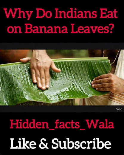 Why Do Indians Eat on Banana Leaves? Science Explained #FoodScience #shorts ‪@Aifoodhistory‬
