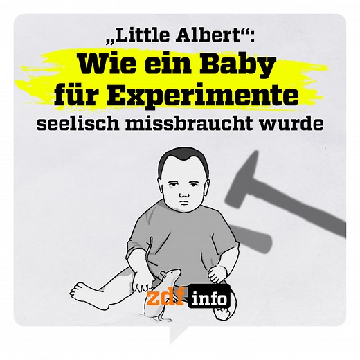 90K views · 431 reactions | Das "Little-Albert-Experiment" ist eines der umstrittensten Experimente aus der Psychologie. Das Experiment schrieb Wissenschaftsgeschichte, doch was wurde aus dem kleinen Jungen? Antworten in unserem Beitrag. Wie britische Wissenschaftler mit ihren Ideen die Welt für immer verändert haben, erfahrt ihr in unserer Doku-Reihe "Revolutionäre der Wissenschaft". Jetzt anschauen: https://kurz.zdf.de/qnA/ | ZDFinfo | Facebook