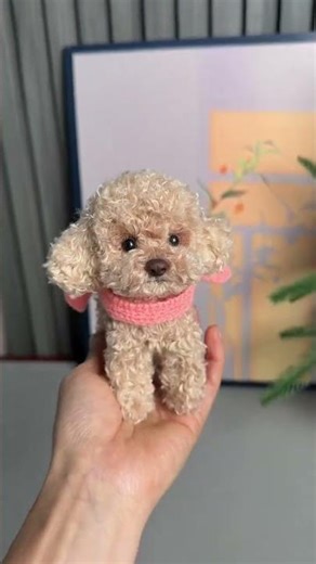 可爱泰迪Shell：一段温馨的友谊