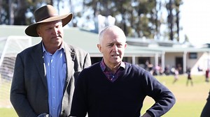 LNP to snatch Longman from Labor: poll