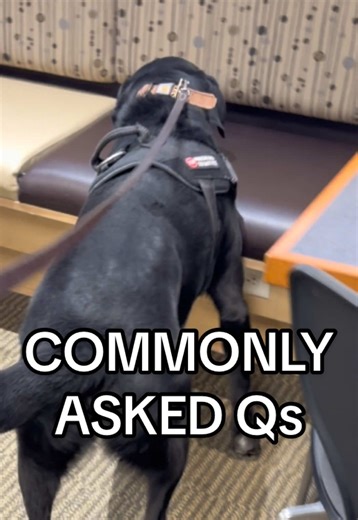 Commonly Asked Bed Bug Questions You Need Answers To