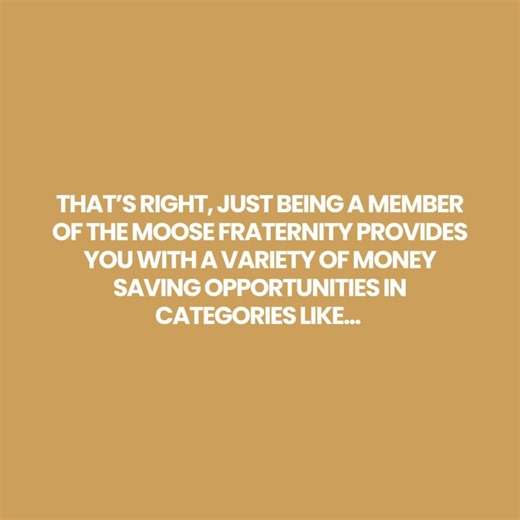 🌟 With access to over 1,300 Lodges across North America and savings in Travel, Entertainment, Insurance, and Health & Wellness, your membership is worth more than just dues. Don’t miss out on all the perks! Visit our website to learn more. #MooseFraternity #HeardOfMoose #Community #Moosehaven #Mooseheart #VolunteerWithMoose | Heard of Moose?