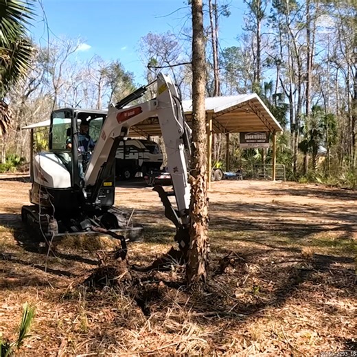 Rhinox Ripper VS Trees & Stumps #stumps #trees #treeremoval | The Kelley's country life