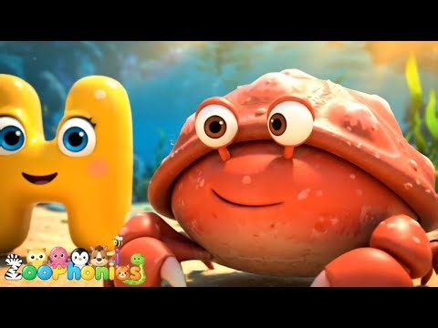 🎵 ABC Animal Song 🐾 | Learn Animal Names & Sounds from A to Z!| Zoophonics