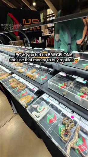 Barcelona Sponsors Reptiles at the Super Show