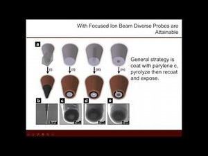 Advanced Techniques in Electrochemistry : Electrochemical Scanned Probes
