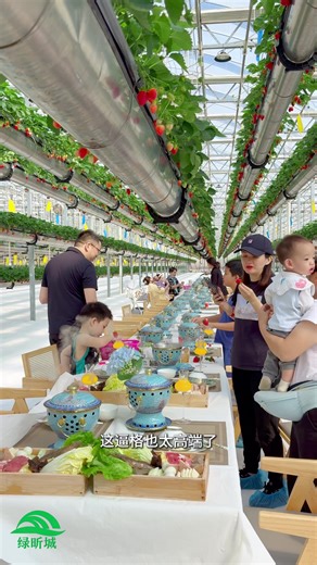 Hydroponic Strawberry Greenhouse Construction