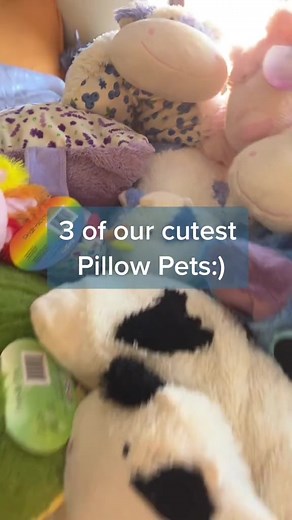 Explore Our Collection of Adorable Pillow Pets