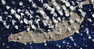 Massive Floating 'Pumice Raft' Could Be A Lifesaver For The Embattled Great Barrier Reef