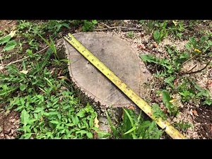 #11, Back at it again, more stump grinding with the Toro STX-38.