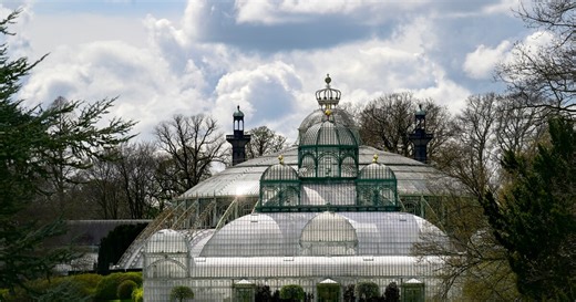 Les Serres royales de Laeken bientôt accessibles au public : vous ne pourrez pas tout visiter cette année