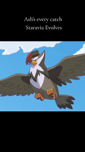 Ash's Staravia evolution into Staraptor
