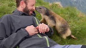 Cute Animal Love That Will Make Your Day