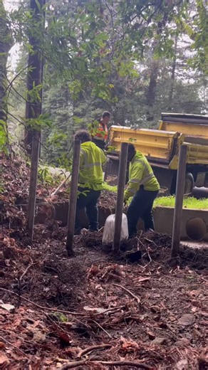 “Every time it rains, it drains...” thanks to the Marin County Department of Public Works! Marin DPW is out clearing storm drains ahead of this weekend’s storm and King Tides. Please stay safe and avoid flooded areas! — «Cada vez que llueve, se desborda...» ¡Gracias al Departamento de Obras Públicas del Condado de Marin! El Departamento de Obras Públicas de Marin está limpiando los desagües antes de la tormenta y las mareas altas de este fin de semana. ¡Manténgase a salvo y evite las zonas inund