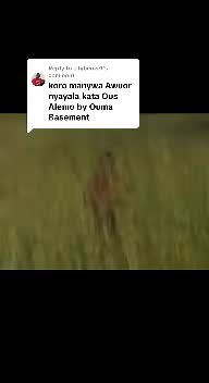 Discover Amazing Basement Songs for Your Playlist