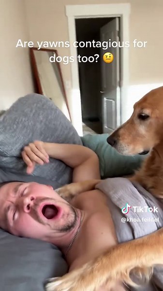 My dog is starting to look just like me#Dog #FunnyDog #LookAlike #Trending