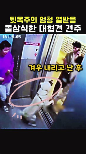 뒷목주의, 엄청 열받게 하는 몰상식한 대형견 견주