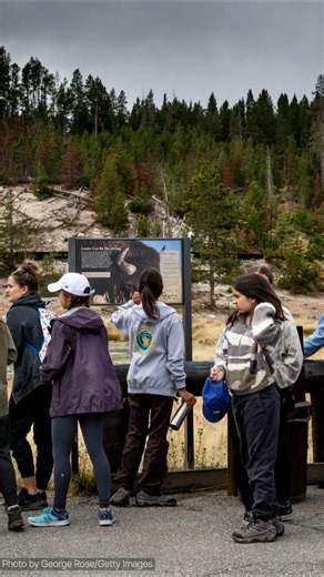 2 hikers injured after bear attack in Yellowstone Park