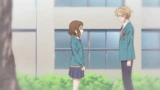 Our love has always been 10 centimeters apart. | E1 - Spring, First Love, Color of Cherry Blossoms
