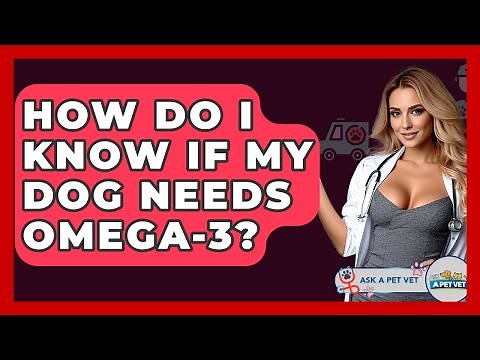 How Do I Know If My Dog Needs Omega-3? - Ask A Pet Vet
