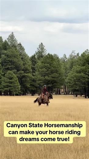 Canyon State Horsemanship on Instagram: "I want to help you live out your wildest dreams with your horse. Whether you are searching for your next partner or looking to take your current horse to the next level, Canyon State Horsemanship is here to help. Canyon State Horsemanship specializes in Colt starting Mustang gentling Trail training Tune ups Colt Starting Re starts Check out my Cornerstone Mustang Program, where you can be matched with your dream mustang and be involved throughout the enti