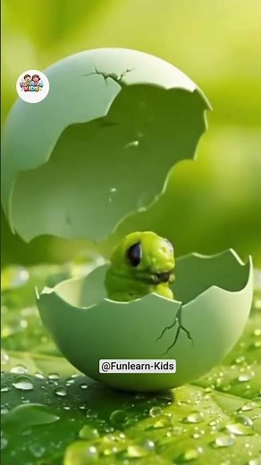 "The hungry caterpillar story for kids#kids #kidsvideo #kidslearning #kidshorts