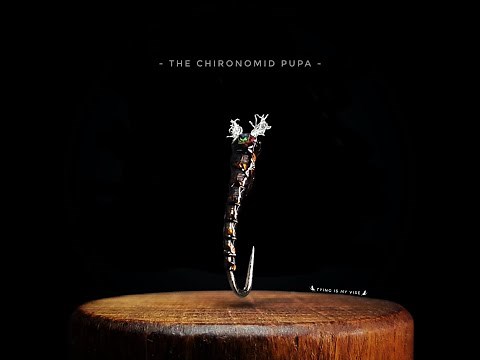 Chironomid Pupa - Fly Tying Tutorial
