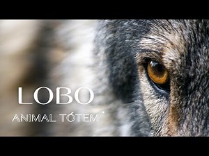 El Lobo como Animal de Poder: Sabiduría, Instinto y Conexión Espiritual
