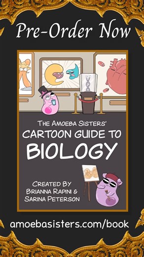 We're SO excited to announce that the Amoeba Sisters' Cartoon Guide to Biology is now available for pre-order! 🎉 @mangopublishing is currently offering a 20% discount, but you can also pre-order through Amazon and other major retailers. The book will drop on July 30th in the US and Canada and August 30th in the UK. 📖 Find more information on our website (link in comments)! #bookrelease #apbio #amoebasisters #biology #biologymajor #scicomm #biologyteacher #scicomm #sciart | The Amoeba Sisters