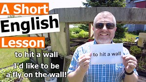 Read along to practice your English and to learn the English phrases TO HIT A WALL and I'D LIKE TO BE A FLY ON THE WALL In this English lesson I wanted to help you learn the English phrase to hit a wall. When we say in English that you hit a wall, it means you've hit an obstacle or even a feeling that makes you stop doing something. If I'm working really hard on a video and I can't think of other ideas to finish the video, I could say that I hit a wall. If I'm running a long distance, if I run f